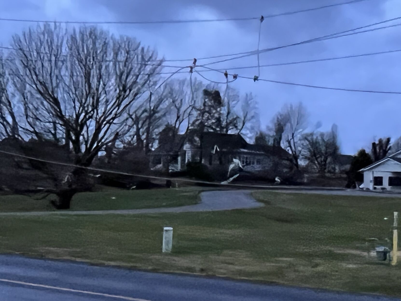 Downed trees and power lines in Princeton